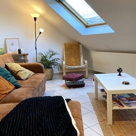 Апартаменты 10Min Bus Strasbourg Centre-Parking Prive-Wifi-Tv Bischheim Экстерьер фото